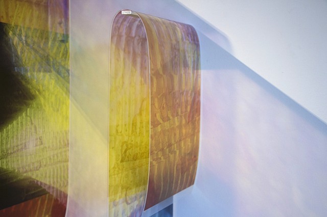 Natalie Hunter Signs of Light