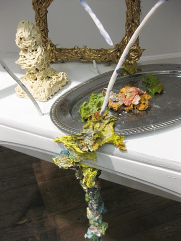 Untitled (Vitrine)
