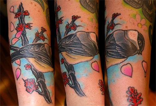 adam sky tattoos san francisco chickadee tattoo by adam sky adam sky tattoos san francisco chickadee tattoo by adam sky