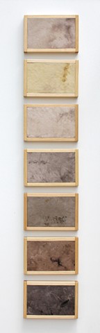 collected color, botanical dyes