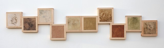 collected color, botanical dyes