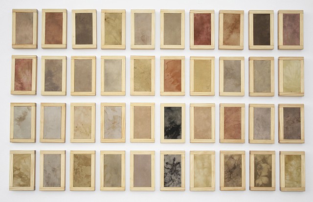 collected color, botanical dyes