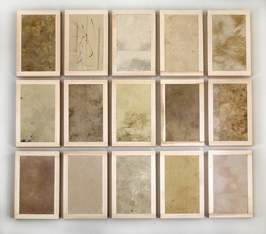 Collected Color X Cotton Collection