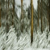 MOTION