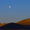 LANDSCAPES
