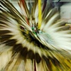Dancing Feathers