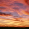 SUNSETS