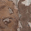 DC-0017851312