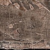 DC-0037851312
