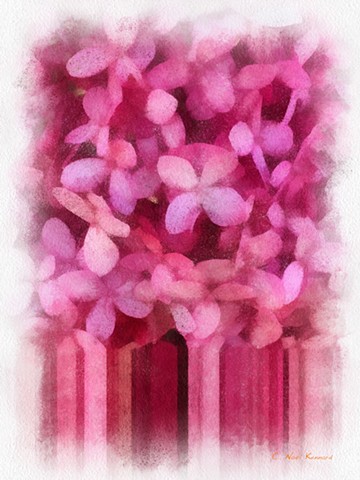 Storm Blossom One