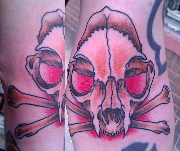 scottish rose tattoo cat skull scottish rose tattoo cat skull