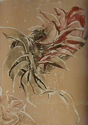 Splash Image