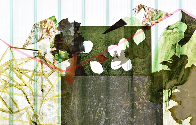 Detail. Edgewilds