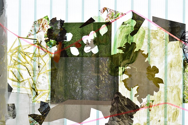 Detail. Edgewilds