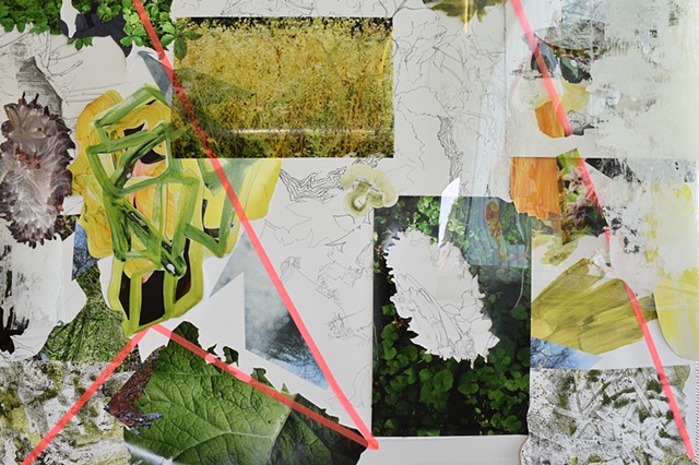 Regan Golden, Regan Golden-McNerney, milkweed, wall drawing, edgewilds