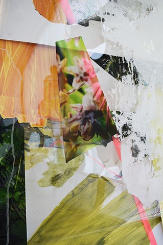 Detail. Edgewilds