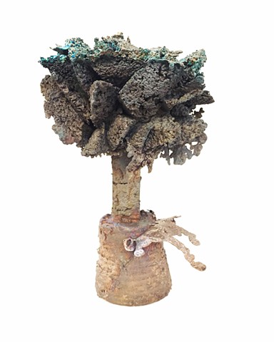 Reef