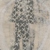 Weeping Willow, Apple Tree, Detail