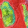 Say When, Detail