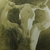 Minotaur 