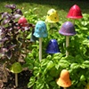 More Rocking Mushrooms