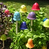 Rocking Mushrooms