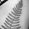 dot work fern