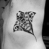 manta