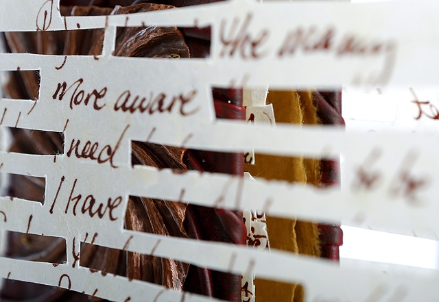 Shame, Redacted (detail)