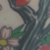 Branch with Blossoms Tattoo by Little Chico 2008