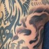 Background and Phoenix Sleeve 2012