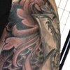 Armor Sleeve 2012