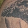 Tree Tattoo by Little Chico 2007