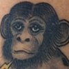 Hybrid Tattoo 2012