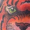 Tiger Neck Tattoo 2012