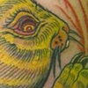 Turtle Rabbit  Tattoo By Little Chico 2009