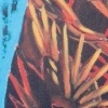 2003