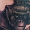 Hanuman Tattoo 2012