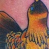 Bird 2011
