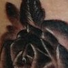 Roses Tattoo 2012