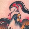 Eagle Snake Tattoo 2012