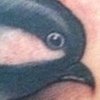 Mama Bird Tattoo 2012