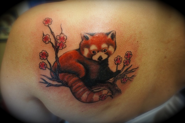 deirdre doyle tattooer deirdre doyle tattooer