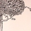 Tree Swing
