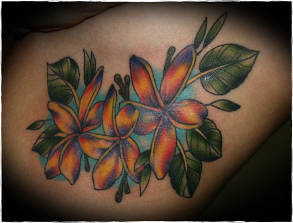 Plumeria