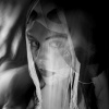 EROTICA: From The Outside In