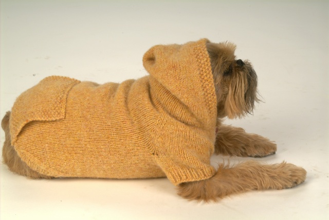 Gidget Hoodie