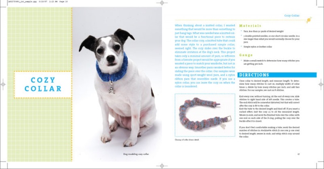 collar project