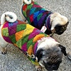 Yoda Sweater, available for cusom order
