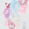 color life celebration 